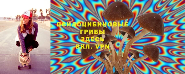a pvp Алексеевка