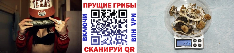 Галлюциногенные грибы Psilocybine cubensis гидра маркетплейс Лесной